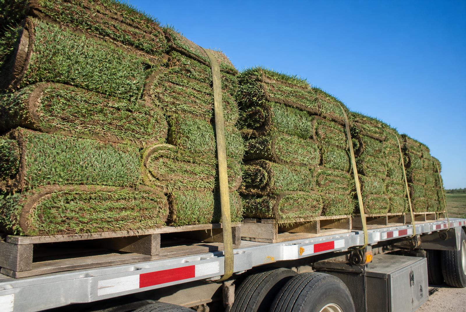 Fresh-cut St Augustine sod pallets loaded on a delivery truck in Florida