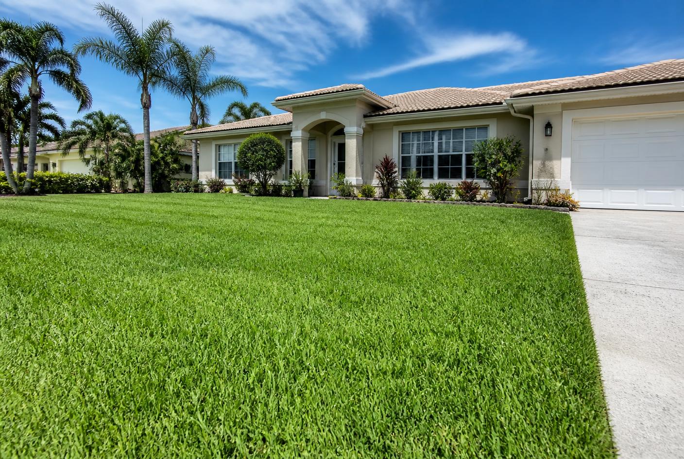 Freshly installed St Augustine sod lawn on a St. Petersburg home